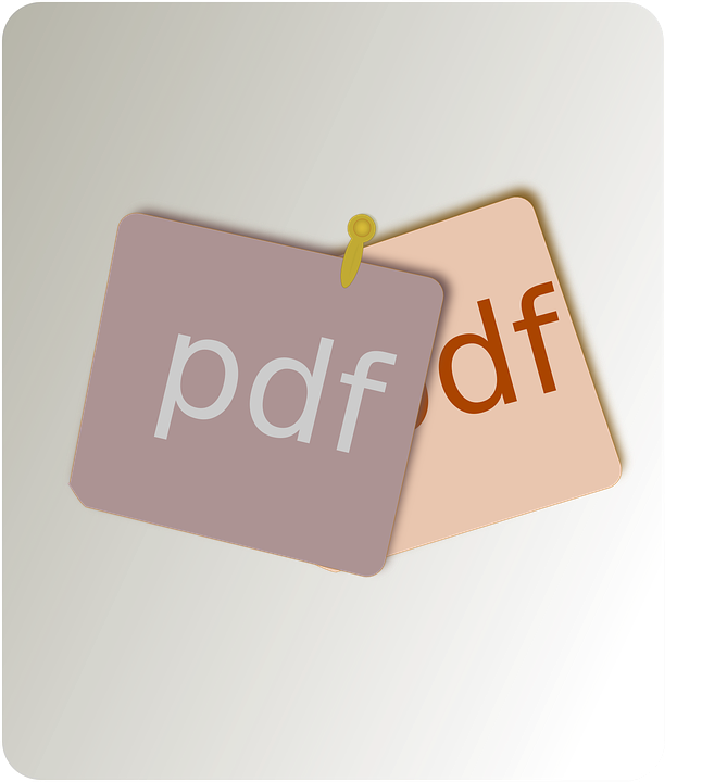 Visor PDF. Procedemento de Mobiliazacion